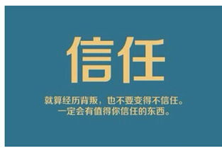 薇薇朵最強(qiáng)戰(zhàn)隊(duì)紫芳強(qiáng)勢招代理 攜手共創(chuàng)互聯(lián)網(wǎng)數(shù)據(jù)服務(wù)新篇章